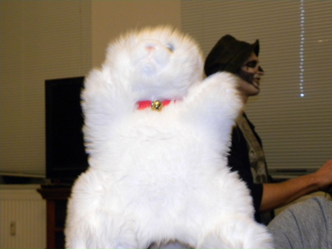 Артур Шмидт фотография #3