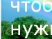 Андрій Хаїмець фотография #8 (источник - https://vk.com/id59539428)