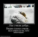 Фотография Занкиной Дарьи
