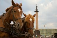 Таня Ребік фотография #24 (источник - https://vk.com/id84622963)