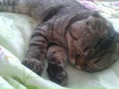 Фотография Волковой Валерии