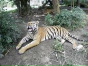 Фотография Заводчикова Дениса