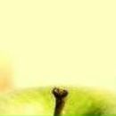 Елена Дмитриева фотография #10 (источник - https://vk.com/id485380)