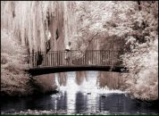 Фотография Макаровой Надежды