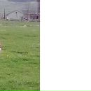 Ігор Бойко фотография #39 (источник - https://vk.com/id37889787)