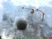 Фотография Хотарева Егора