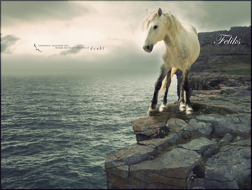 Блэк ... фотография #6