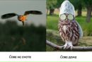 Сергій Мельник фотография #1
