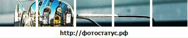 Дмитрий Пателепень фотография #11 (источник - https://vk.com/id1854182)