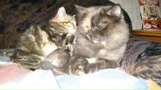 Фотография Ивановой Алёны