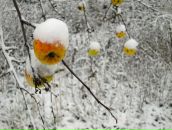 Фотография Рыбальченко Екатерины