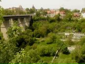 Сергій Ціцвіра фотография #12 (источник - https://vk.com/id98968225)
