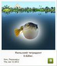 Сергій Ваксютенко фотография #40 (источник - https://vk.com/id133291802)
