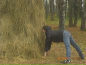 Фотография Конкина Александра