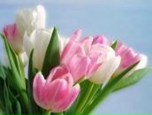 Фотография Александров Егор