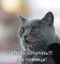 Фотография Суворова Дениса