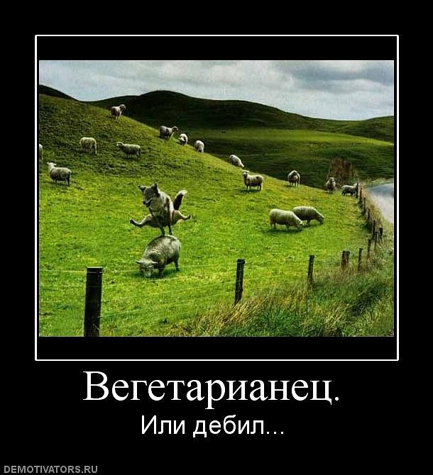 Дмитрий Макеев фотография #50
