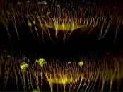 Антон Филь фотография #3 (источник - https://vk.com/id1657549)