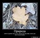 Саша Овсянніков фотография #38 (источник - https://vk.com/id151643350)