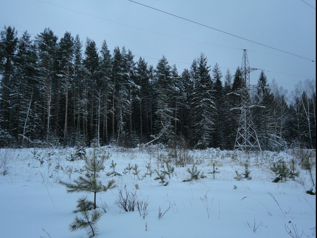 Сергей Храмков фотография #40