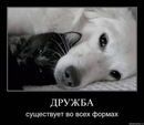 Ліля Следзь фотография #33 (источник - https://vk.com/id145987523)