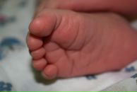 Фотография Домбровской Лолиты