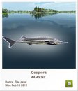 Людмила Бабікова фотография #45 (источник - https://vk.com/id155289329)