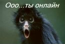 Фотография Ушина Сергея