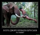 Роман Яців фотография #42 (источник - https://vk.com/id183069967)