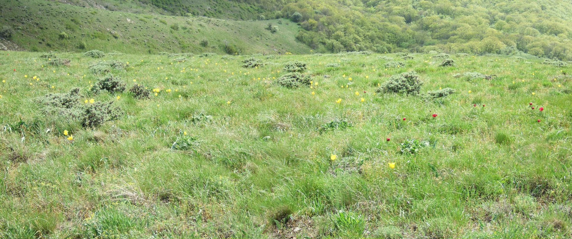 Ihawk Ihawk фотография #33