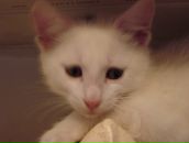 Дмитрий Вдовин фотография #25 (источник - https://vk.com/id636001)