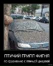 Анжела Сербіна фотография #9 (источник - https://vk.com/id69675386)