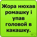 Виталік Шорбан фотография #48 (источник - https://vk.com/id137609690)