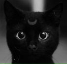 Фотография Литвиновой Евгении