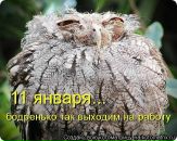 Фотография Кулакова Александра