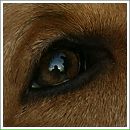 Фотография Мамышева Артёма