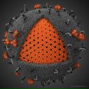 Фотография Маракулина Михаила