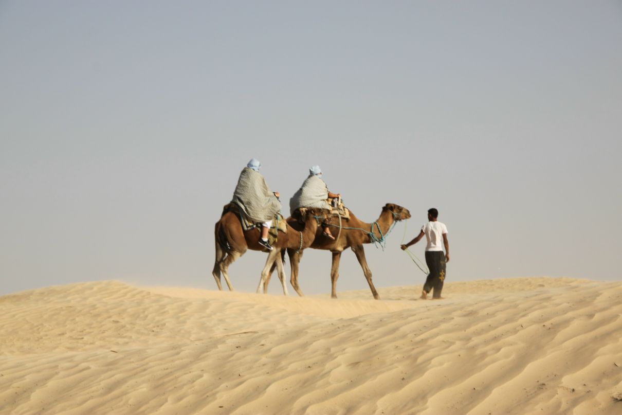 Александра Быстрова фотография #22