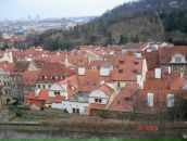 Ольга Прокопенко фотография #24 (источник - https://vk.com/id34474532)