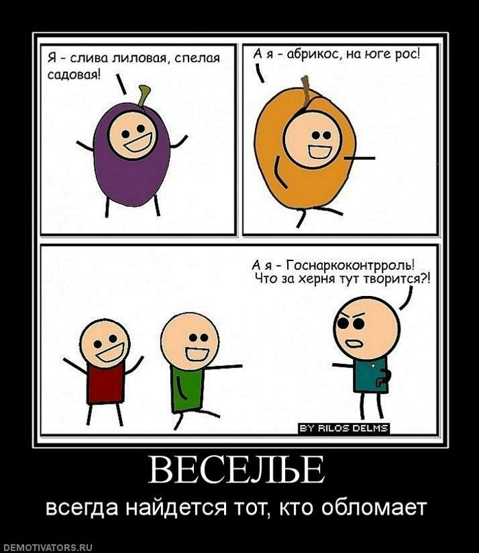 Руслан Мышкин фотография #47