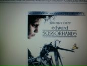 Карина Иванова фотография #40 (источник - https://vk.com/id166322196)