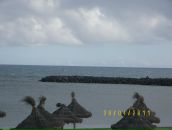 Фотография Татаренко Светланы