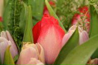 Фотография Коваленко Анны