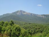 Андрей Тарасенко фотография #22 (источник - https://vk.com/id12523765)