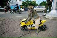 Фотография Хххххххххха Андрея