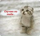 Катя =) фотография #22 (источник - https://vk.com/id145212067)