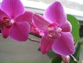 Фотография Тренькиной Надежды