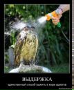 Фотография Туркатова Надежда
