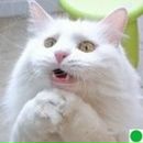 Юля Покусіна фотография #49 (источник - https://vk.com/id125035496)