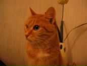 Фотография Уйминой Татьяны